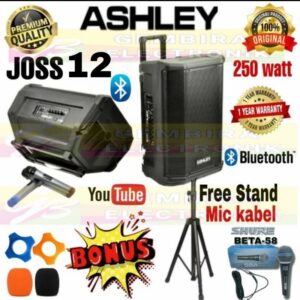 SPEAKER PORTABLE WIRELESS MEETING ASHLEY JOSS 12 12 inch ORIGINAL